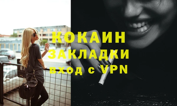 прущий лед Бородино