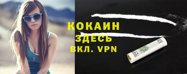 прущий лед Бородино