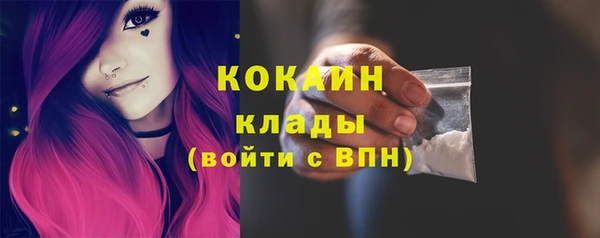 прущий лед Бородино
