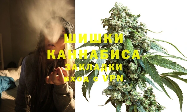 прущий лед Бородино
