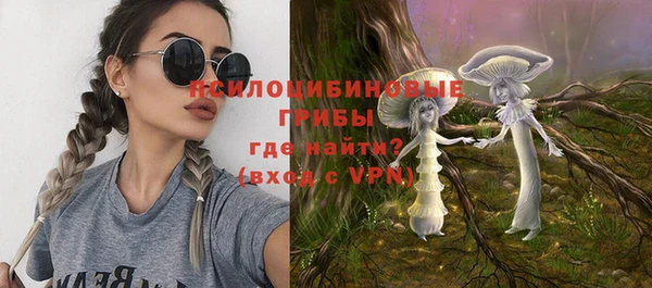 прущий лед Бородино