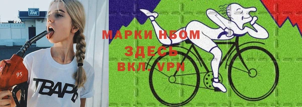 прущий лед Бородино