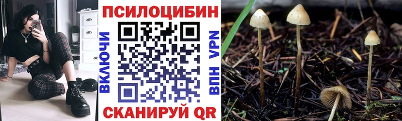Галлюциногенные грибы прущие грибы mega ССЫЛКА Яровое